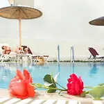 Summer Dream