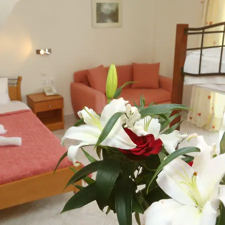 Summer Dream 3* بوليخرونو