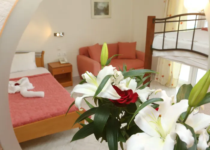 Summer Dream 3* Полихроно